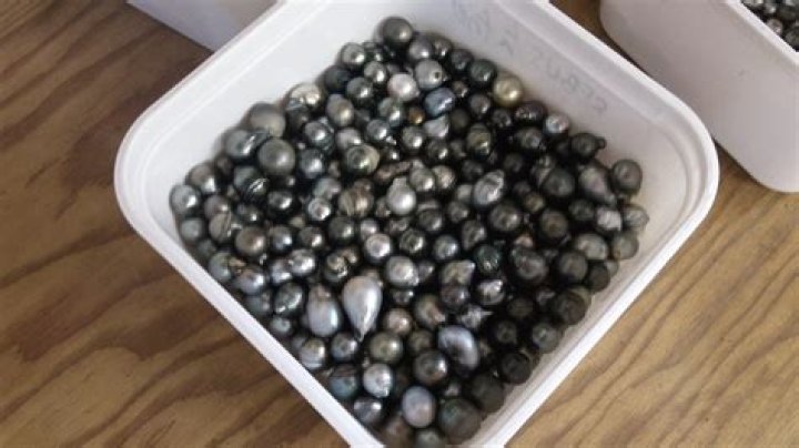 What are peacock pearls?