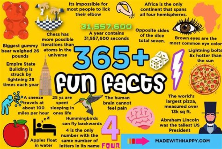What are some dark fun facts?