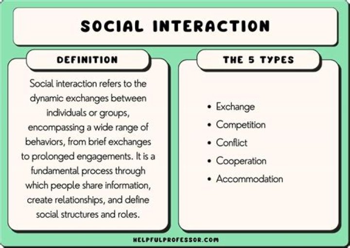 What are some examples of social interaction?