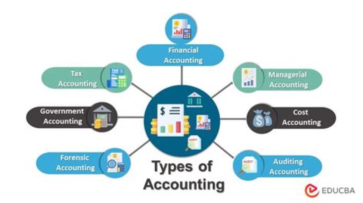 What are the 2 main types of accounting?
