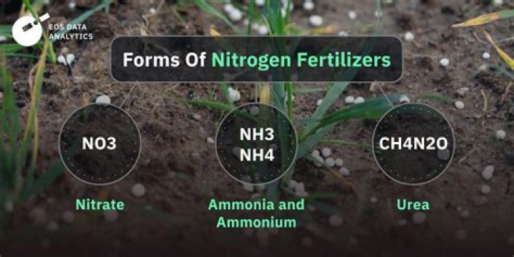 What are the 2 types of fertilizers?