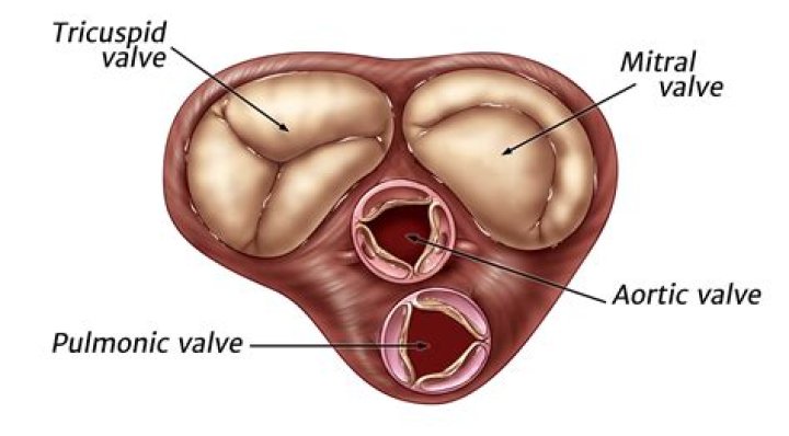 What are the 2 valves on a towel radiator?