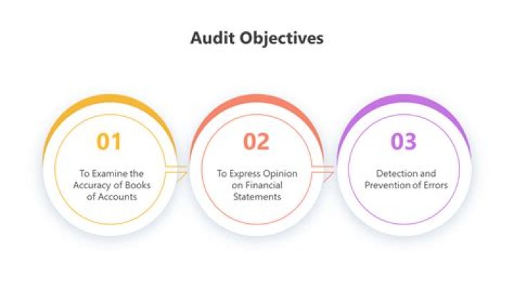 What are the 3 audit objectives?