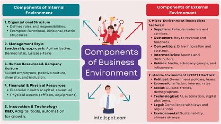 What are the 3 business environments?