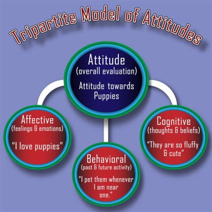 What are the 3 components of attitude explain with an example?