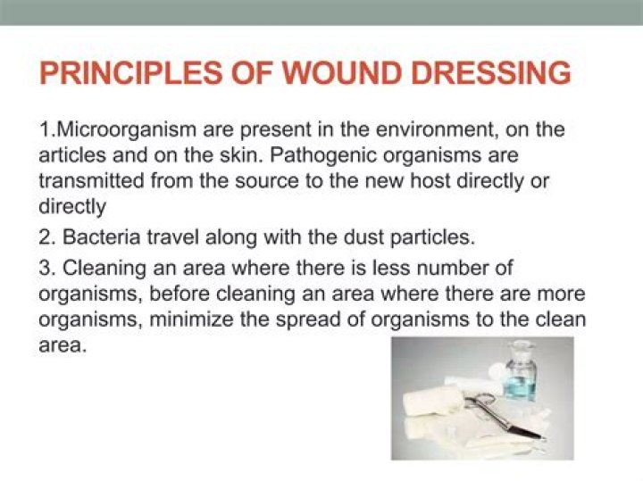What are the 3 principles of wound dressing?