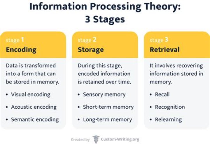 What are the 3 stages of information processing?