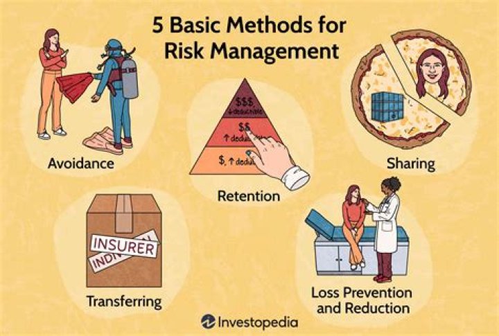 What are the 3 types of risk management?