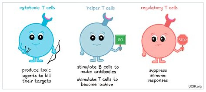 What are the 3 types of trade?