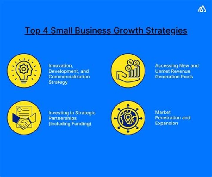 What are the 4 possible growth strategies for companies?