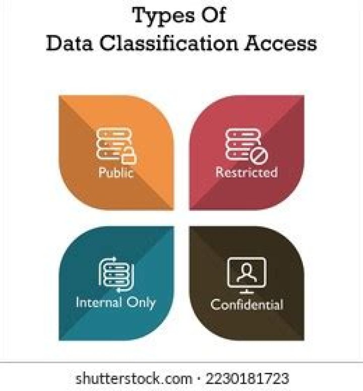 What are the 4 types of data management?