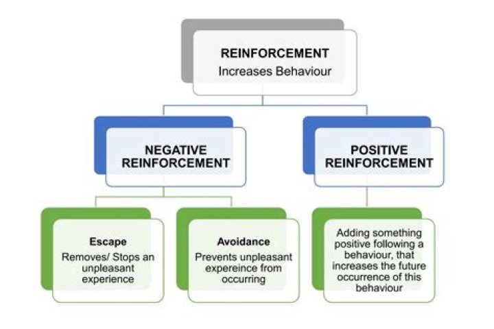 What are the 4 types of positive reinforcement?
