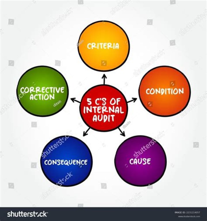 What are the 5 C's of internal audit?