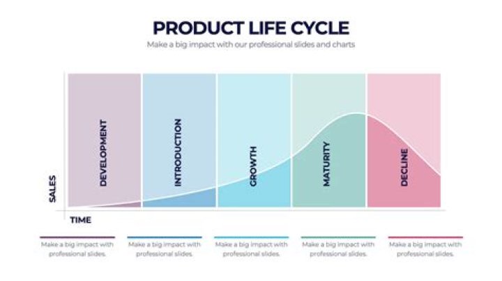 What are the 5 stages of the product life cycle?