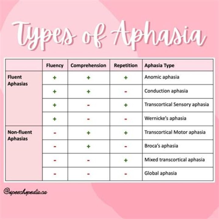 What are the 6 types of aphasia?