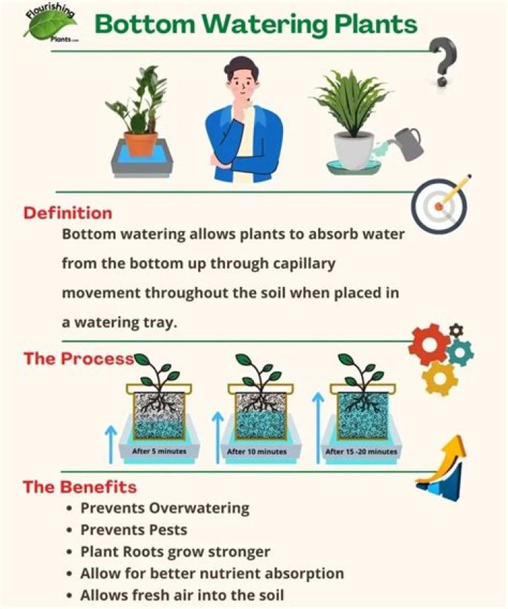 What are the benefits of bottom watering plants?