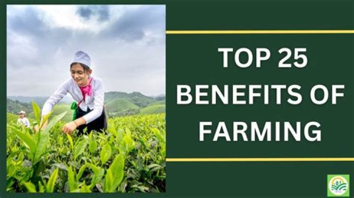 What are the benefits of industrial farming?