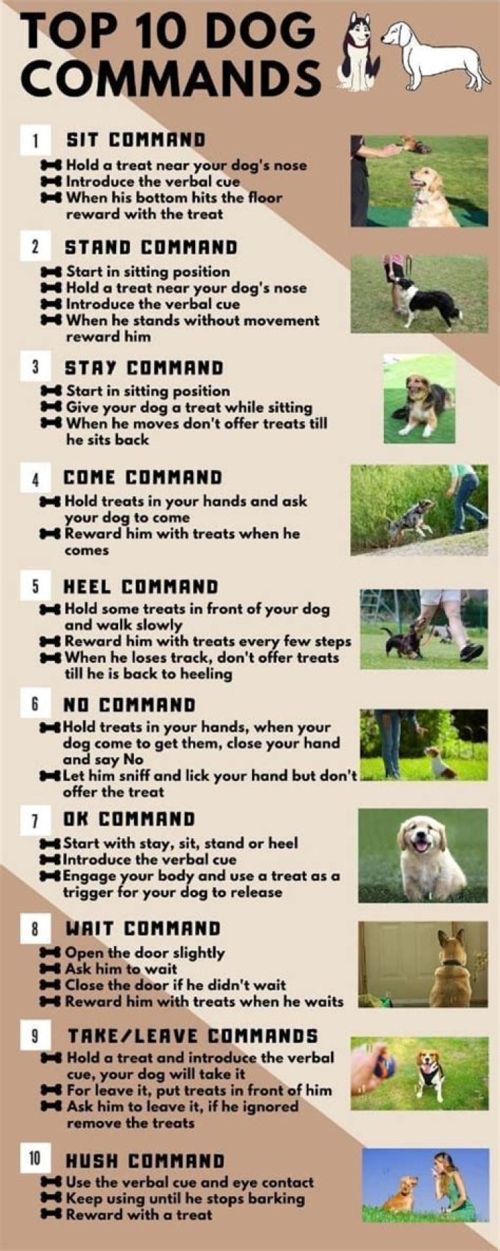 What are the best dog commands?