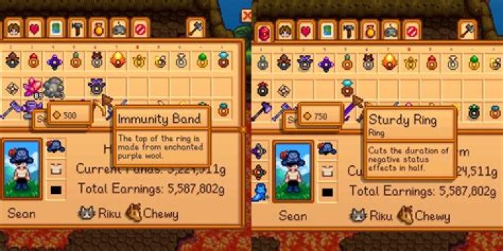 What are the best two rings to combine in Stardew?