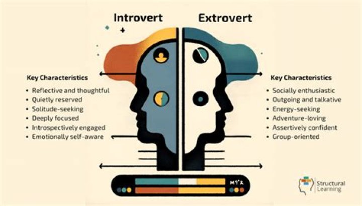 What are the characteristics of introverts?