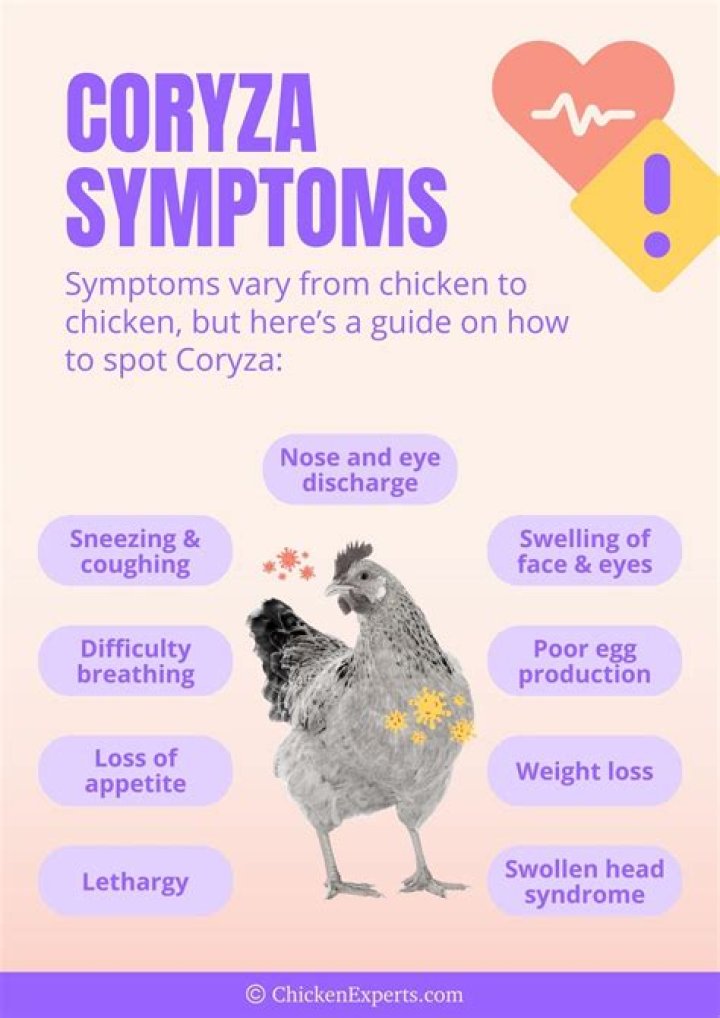 What are the complication of coryza?