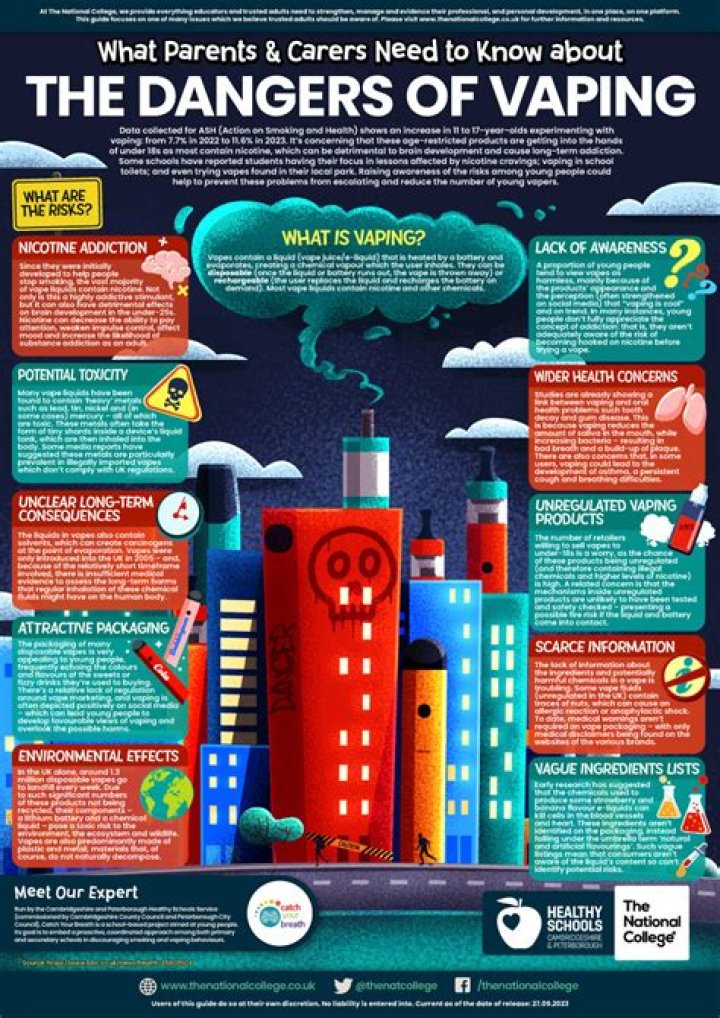 What are the dangers of smart meters?