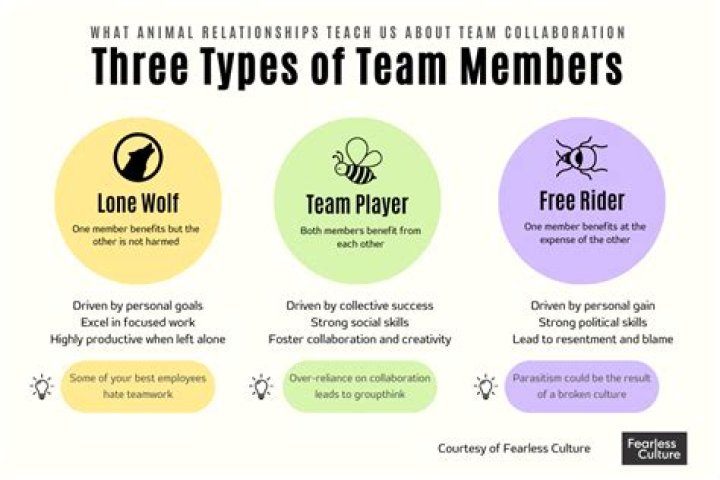 What are the different types of team members?