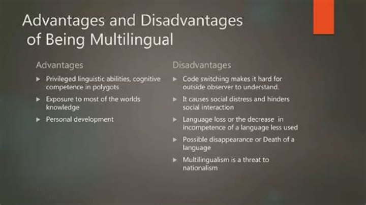 What are the disadvantages of being multilingual?