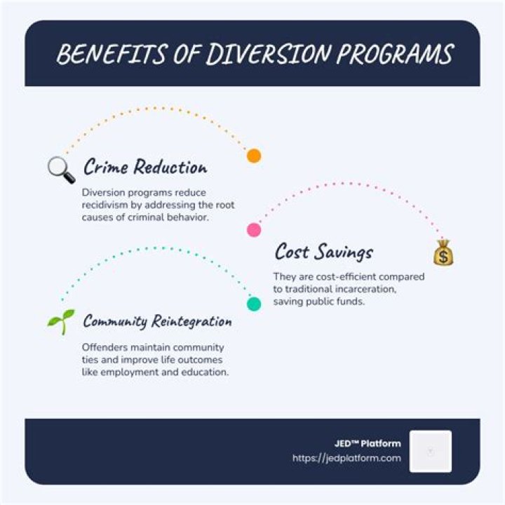 What are the disadvantages of diversion programs?