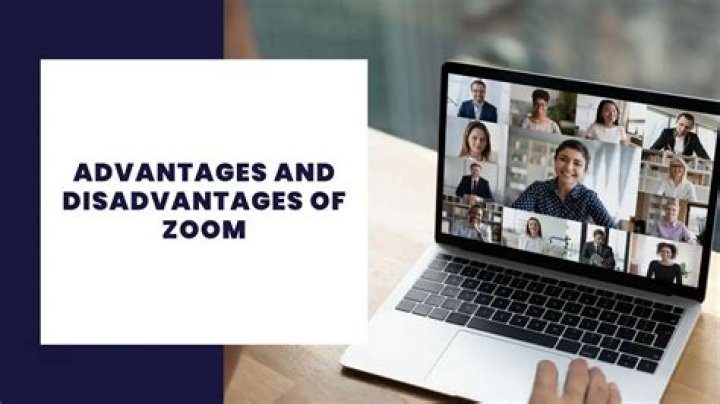 What are the disadvantages of Zoom?