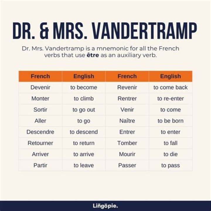 What are the Dr and Mrs Vandertramp verbs?