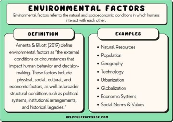 What are the economic factors of environment?