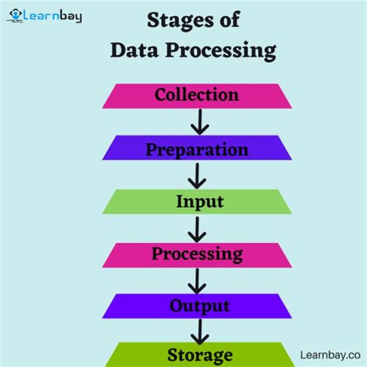 What are the five stages of data processing?