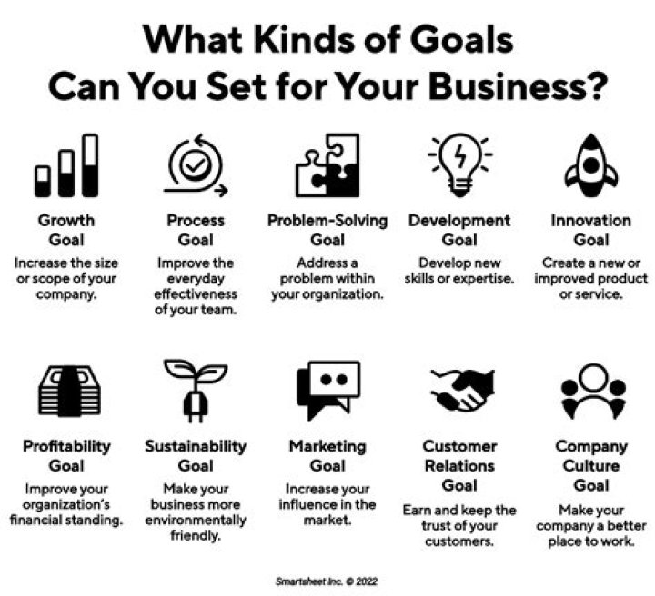 What are the goals of successful companies?
