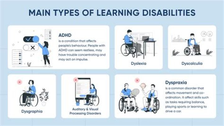 What are the mild disability categories?