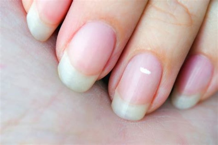 What are the nails called with white tip?