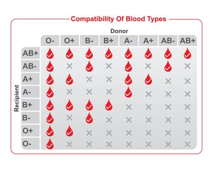 What are the rare blood types?