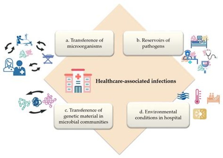What are the recommended measures to prevent the transmission of health care associated infections Hais quizlet?