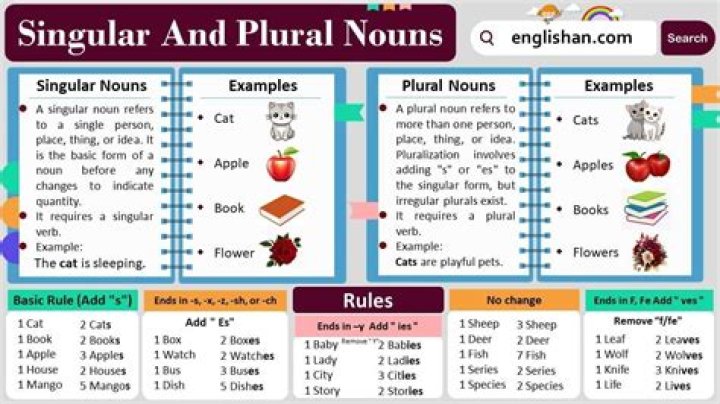 What are the six plural nouns?