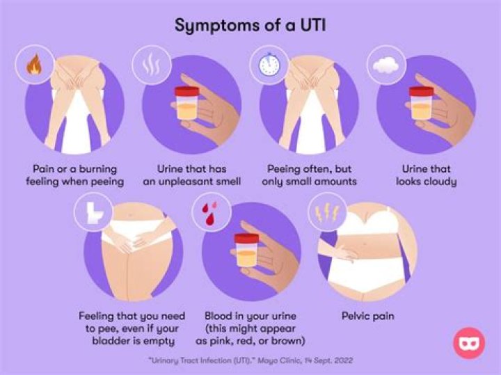 What are the stages of UTI?