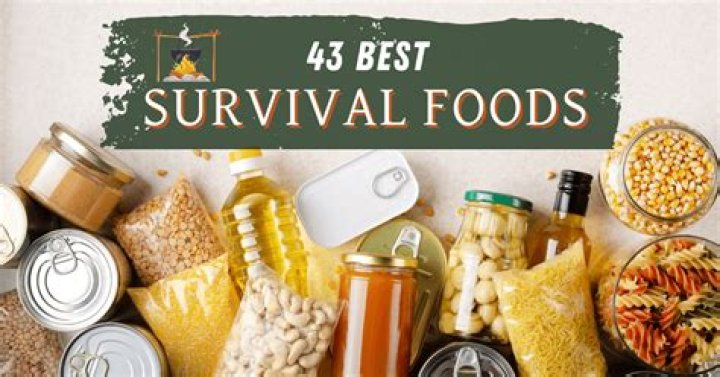 What are the top 10 survival foods?