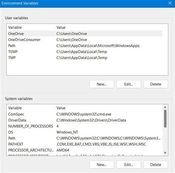 What are the two types of environment variables?