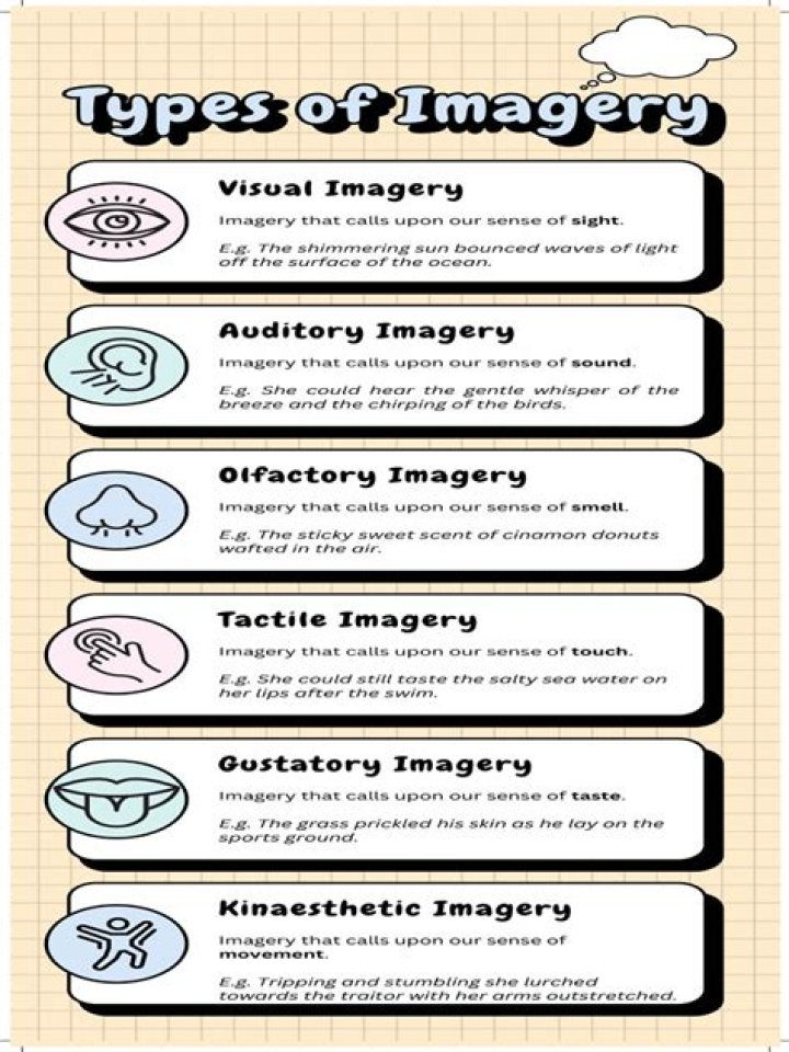 What are the types of imagery?