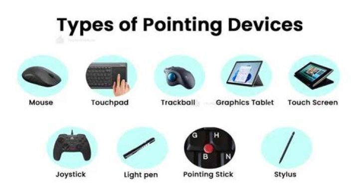 What are the types of pointing?