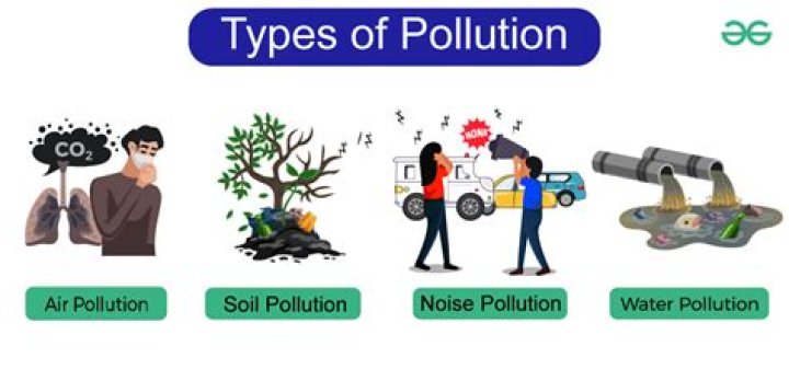 What are three examples of pollutants?