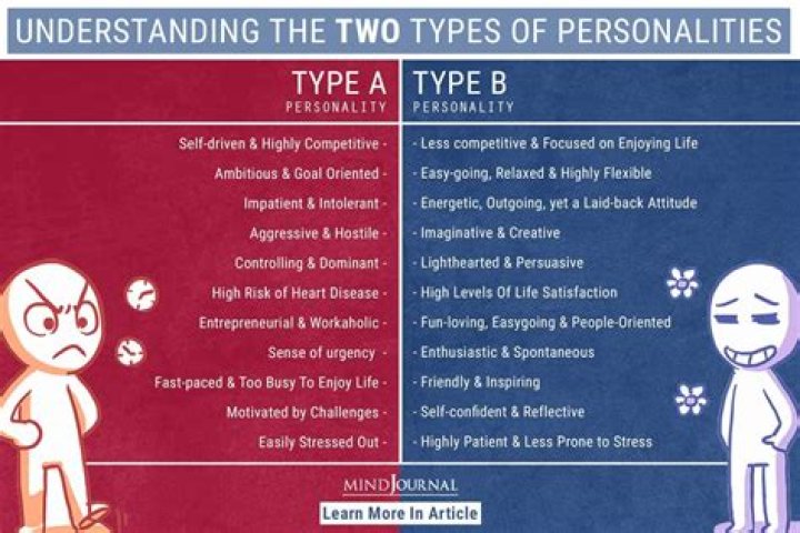 What are Type D personality traits?
