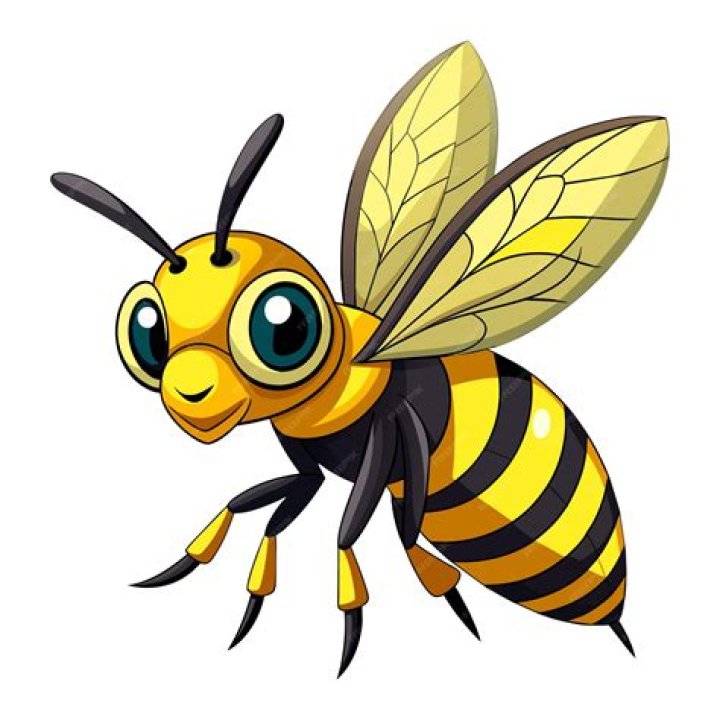 What are wasp afraid of?