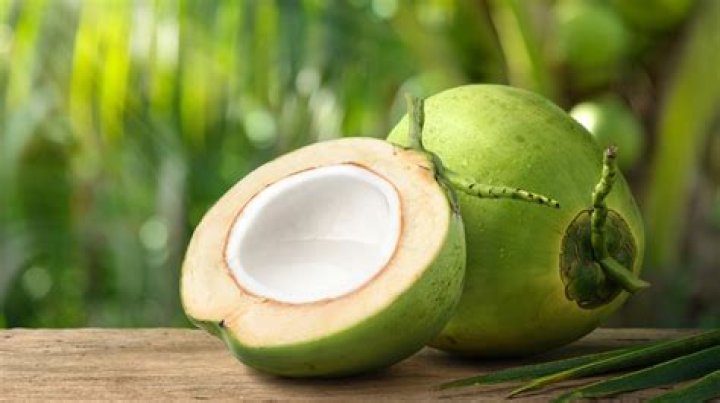 What are white coconuts?