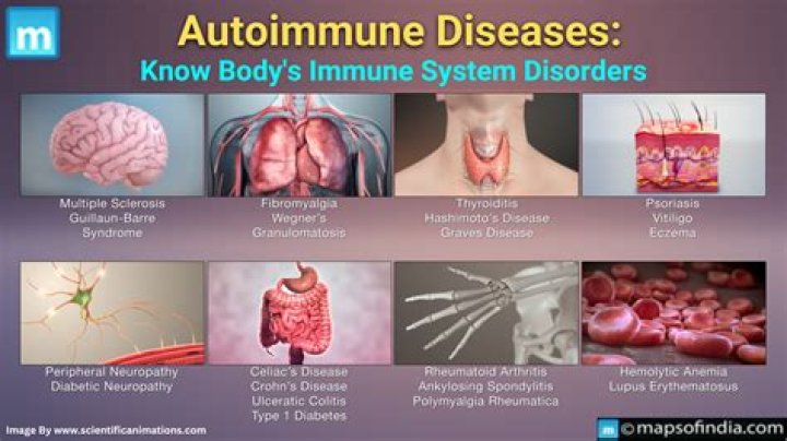 What autoimmune disorders attacks the digestive system?