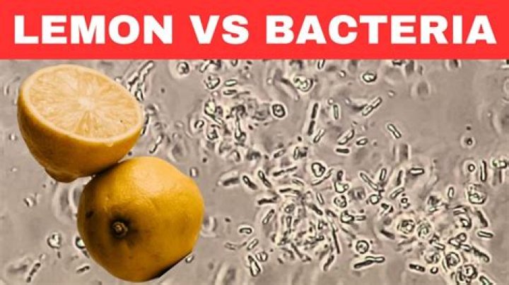 What bacteria grow in lemon juice?